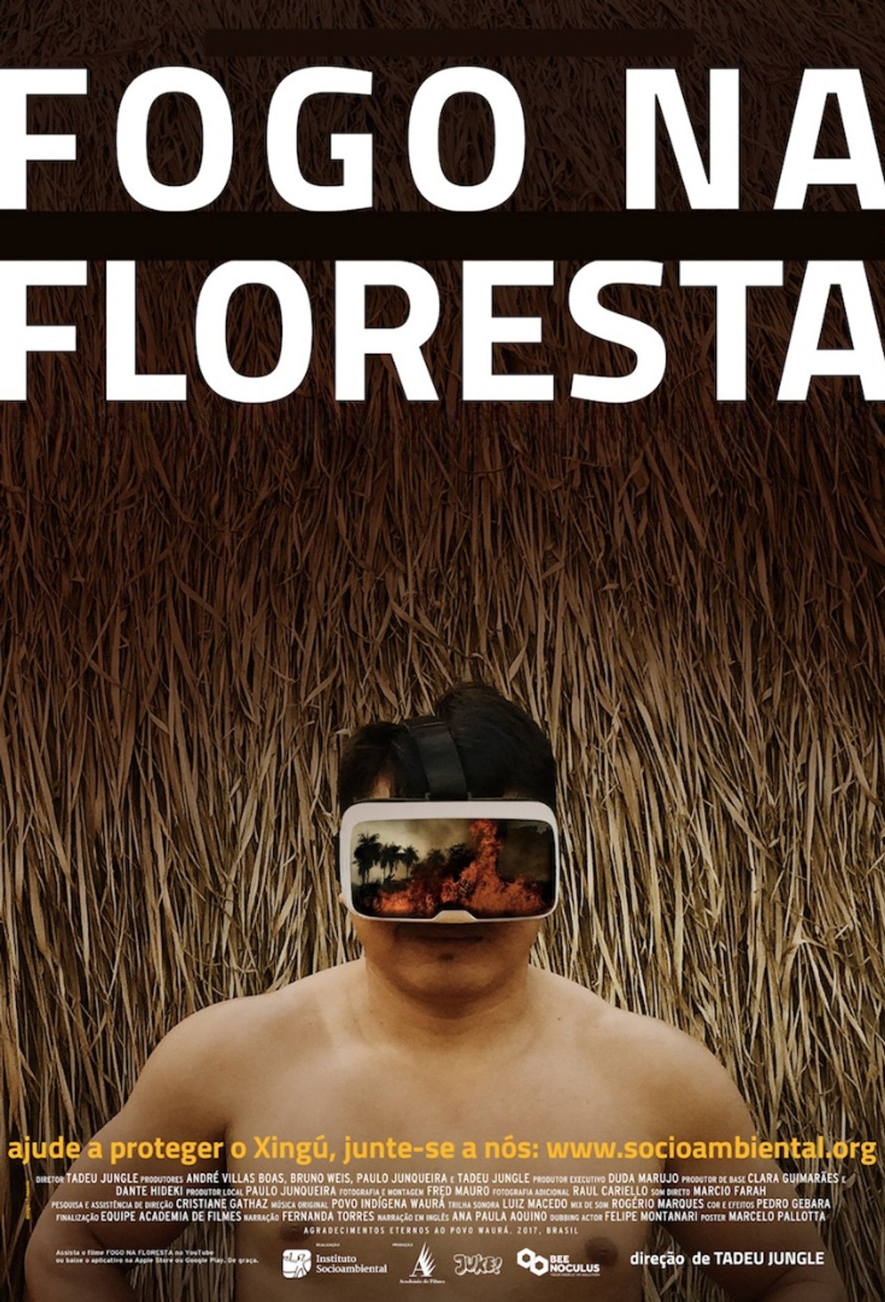 Fire in the Forest poster