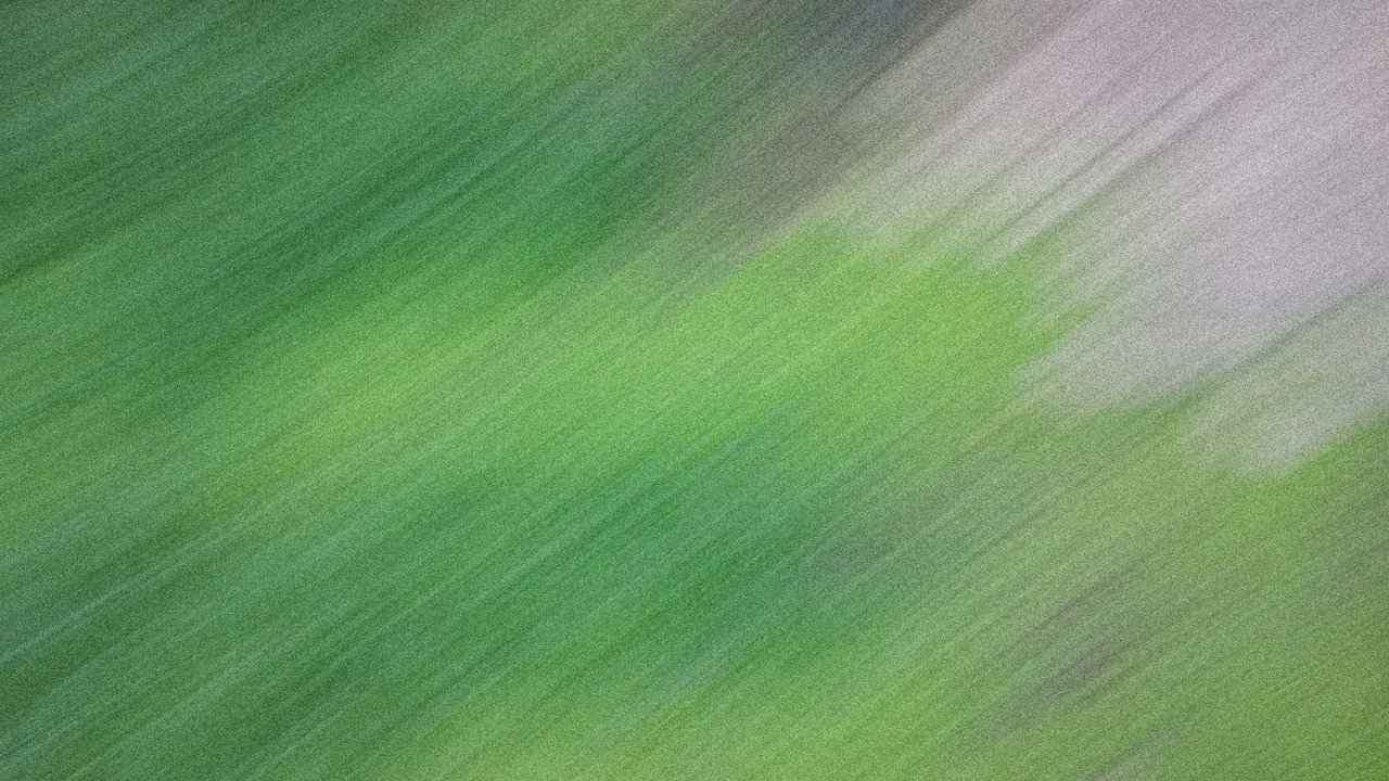 scenes 2