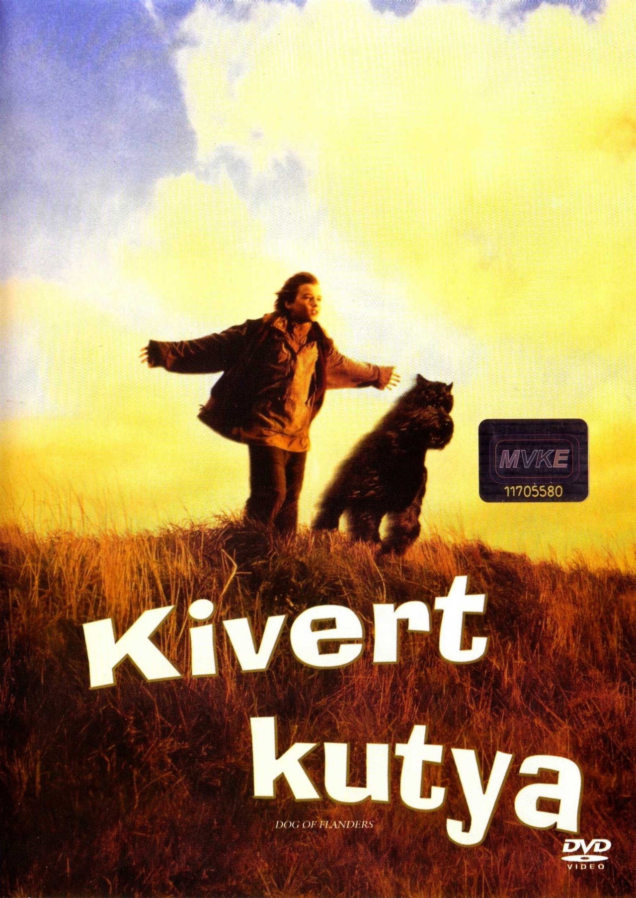 Kivert kutya – plakát 3