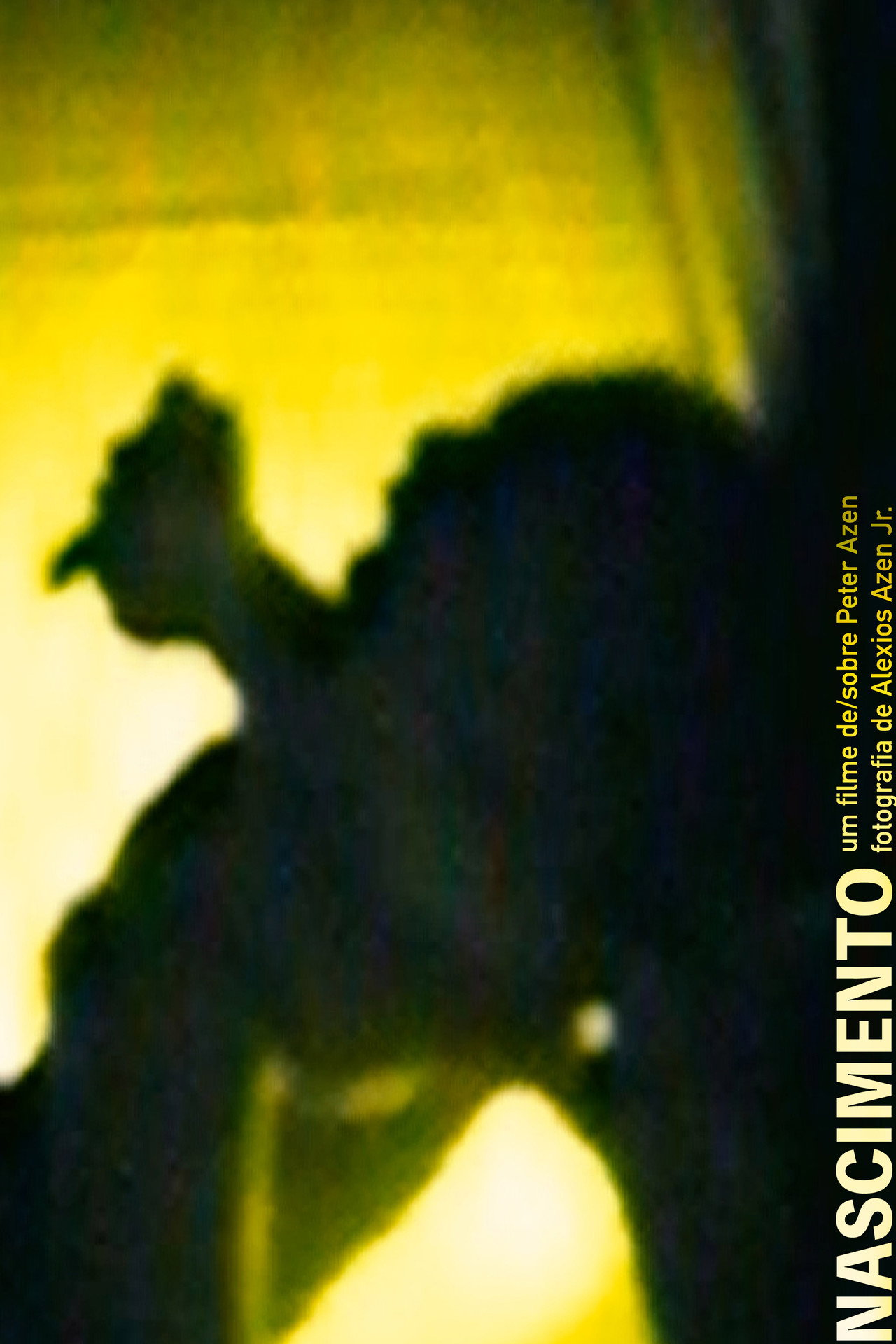 Nascimento filmaffisch