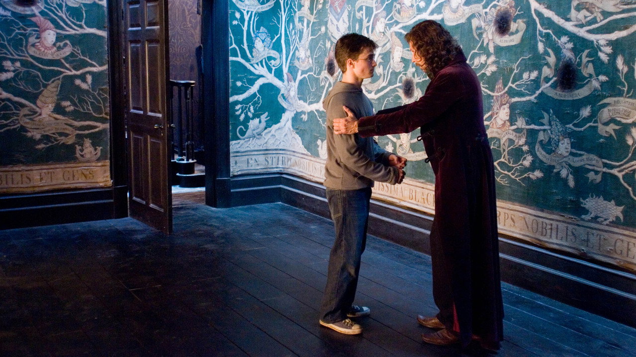 Harry Potter and the Order of the Phoenix background 82