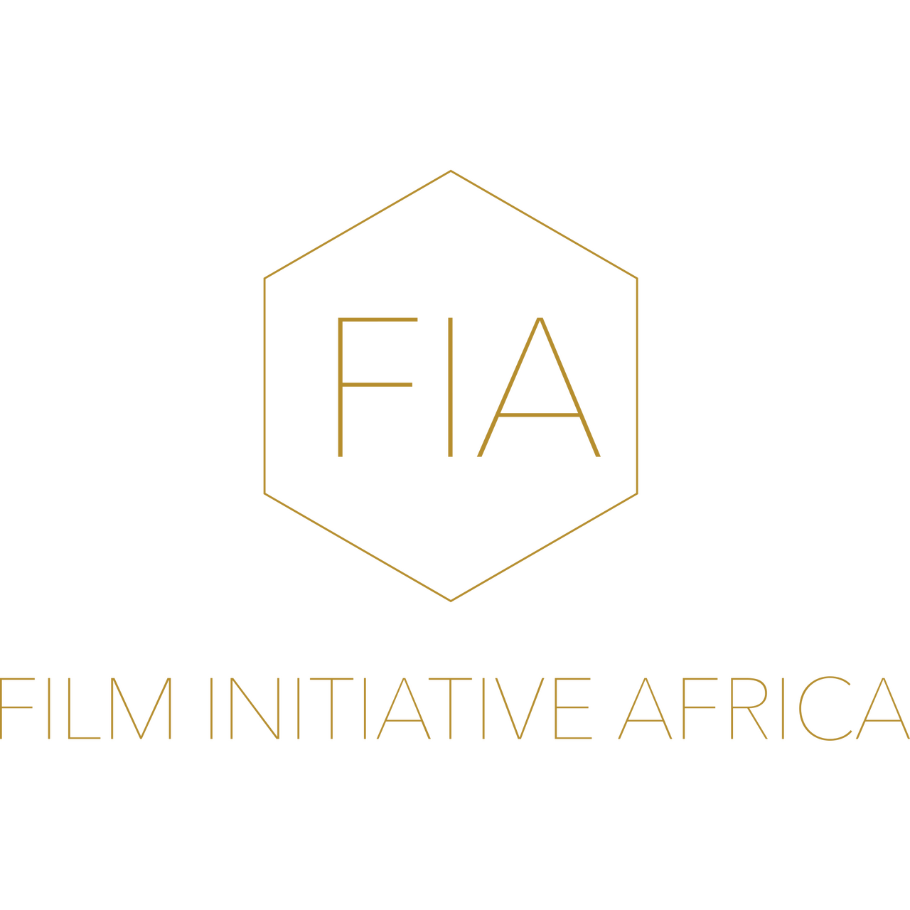 Film Initiative Africa