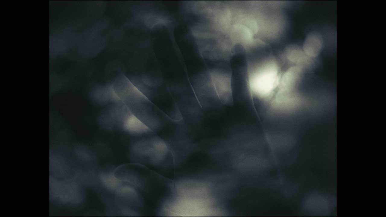 Fondo