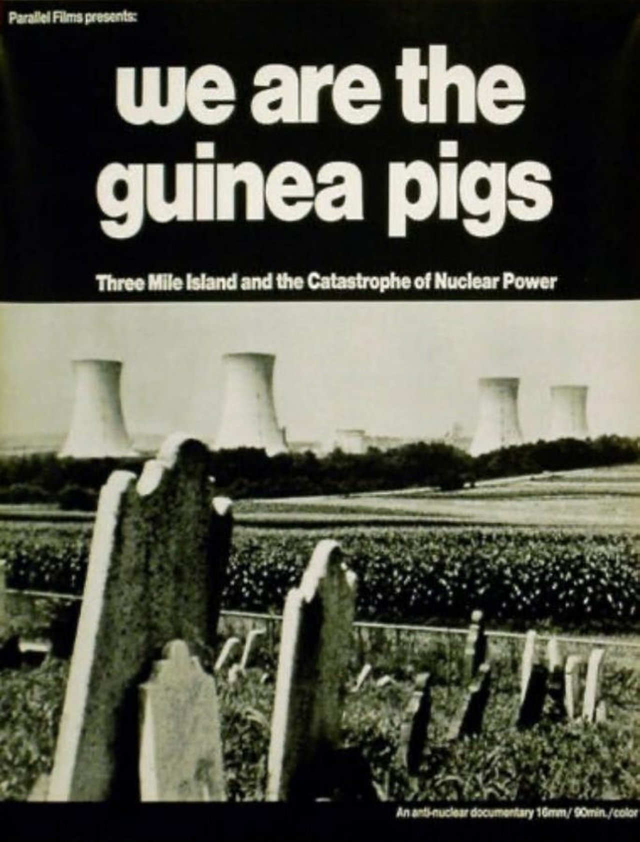 We Are the Guinea Pigs We Are the Guinea Pigs
