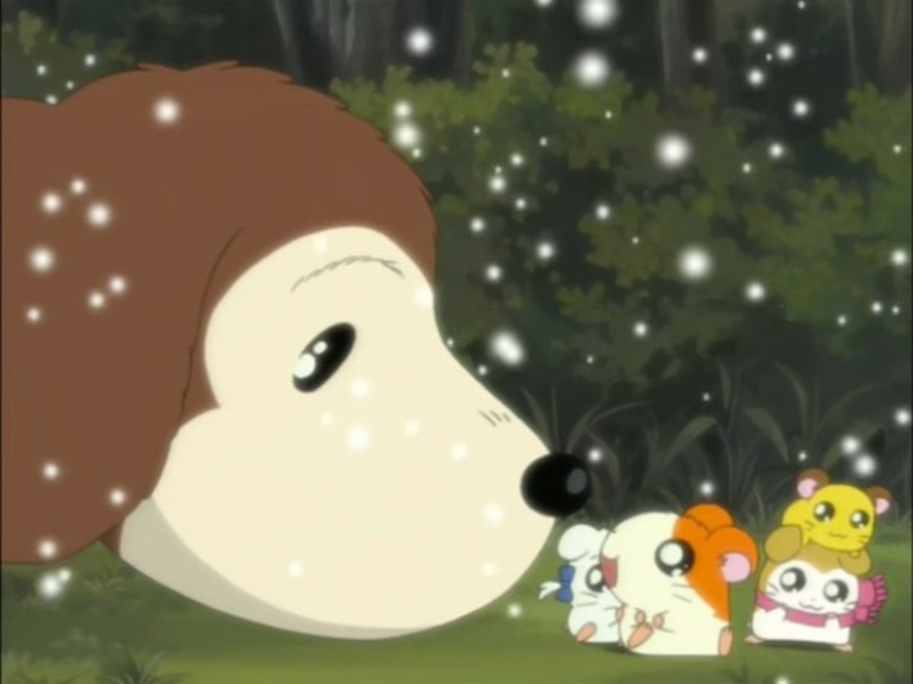 Hamtaro - Season 1 Episode 89 : The Search for Spring!
