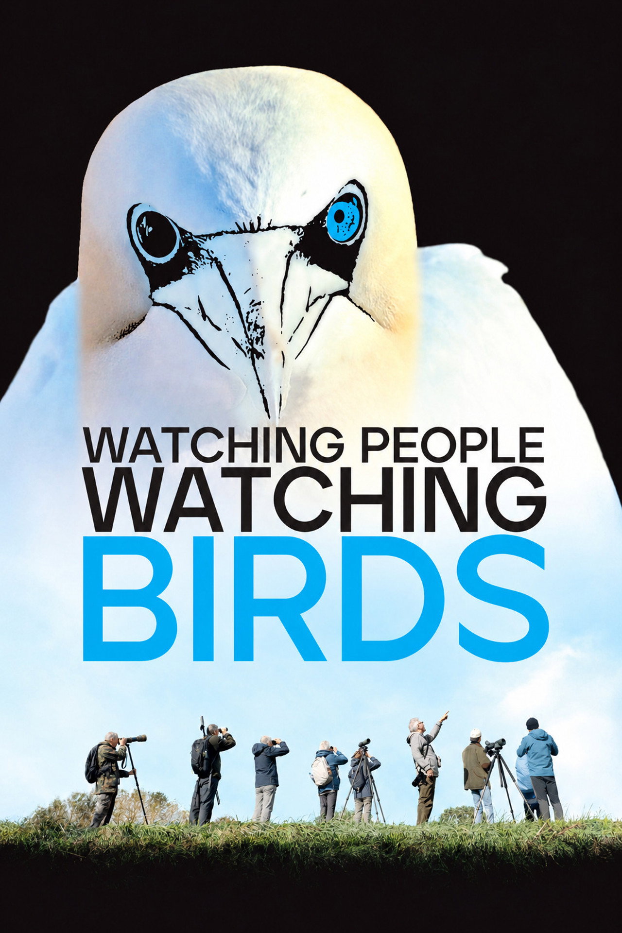 Watching People Watching Birds poster