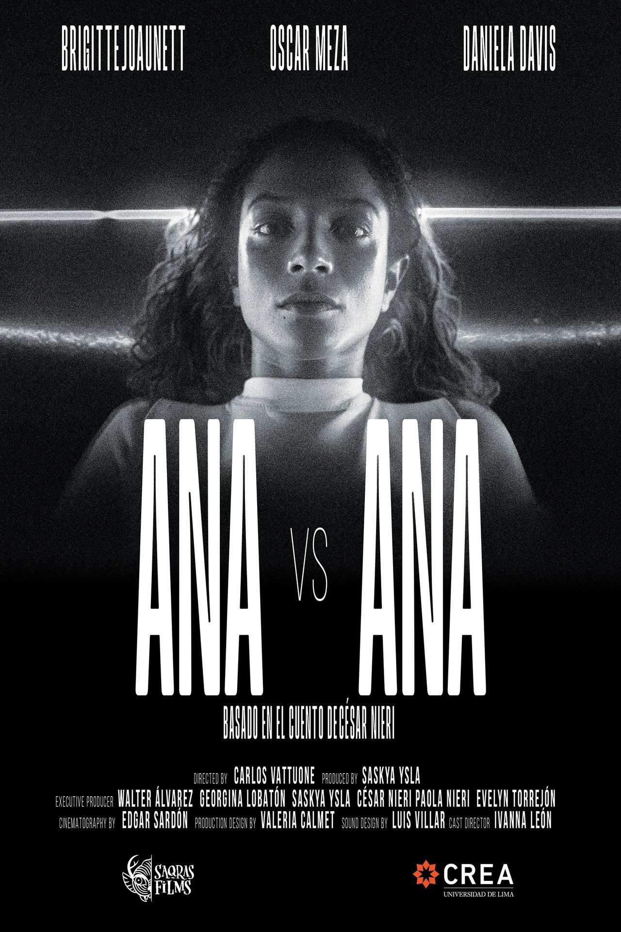 Ana vs. Ana filmaffisch