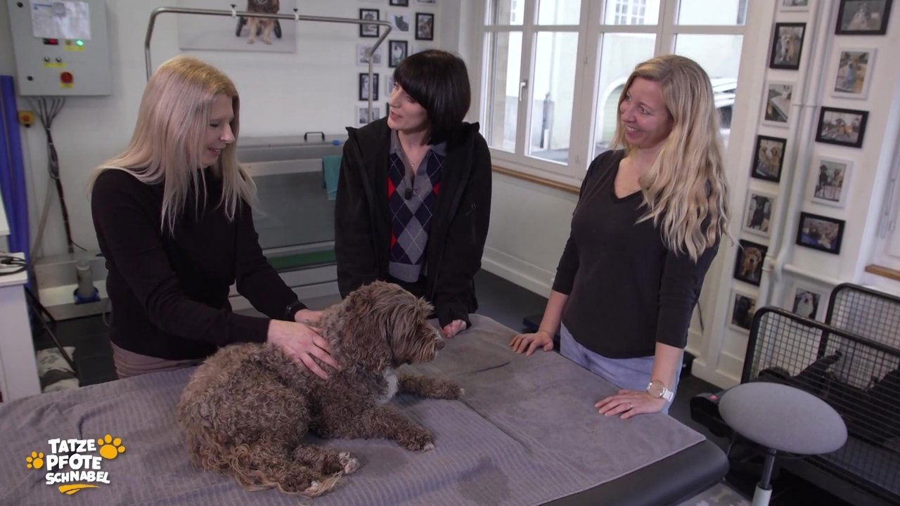 Tatze, Pfote, Schnabel - Season 2 Episode 1 : Episode 1