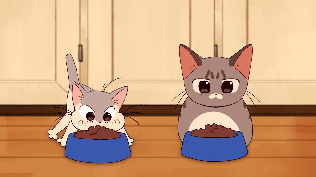 Those Three Little Words backdrop