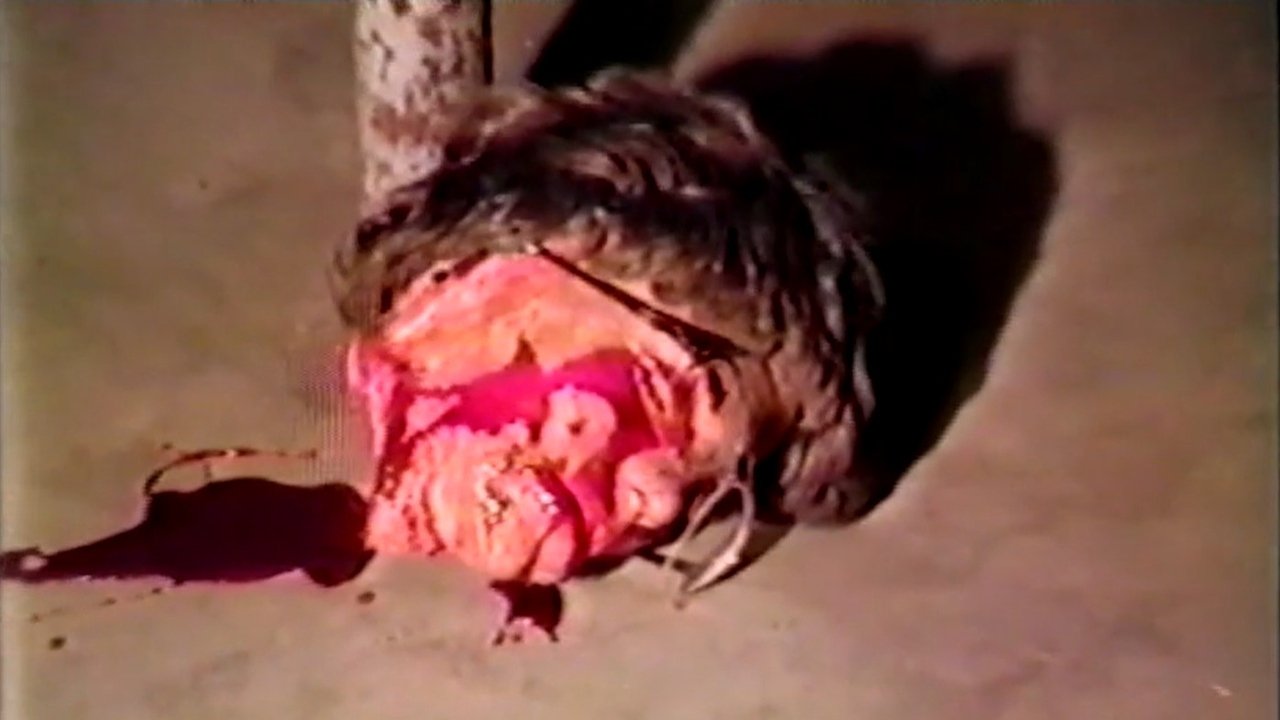title image