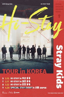 Stray Kids HI-STAY TOUR FINALE IN SEOUL Backdrop