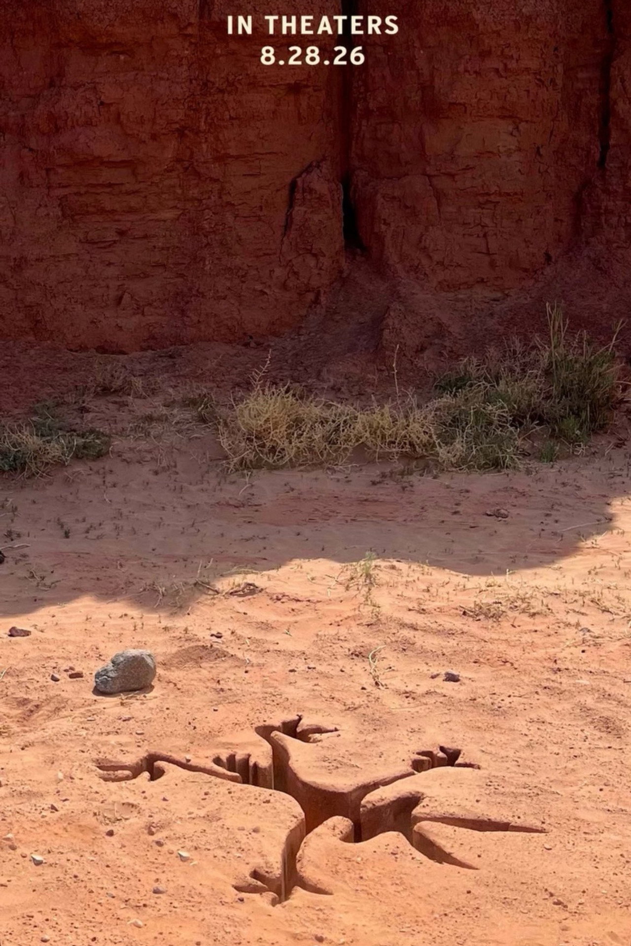 Coyote vs. Acme
