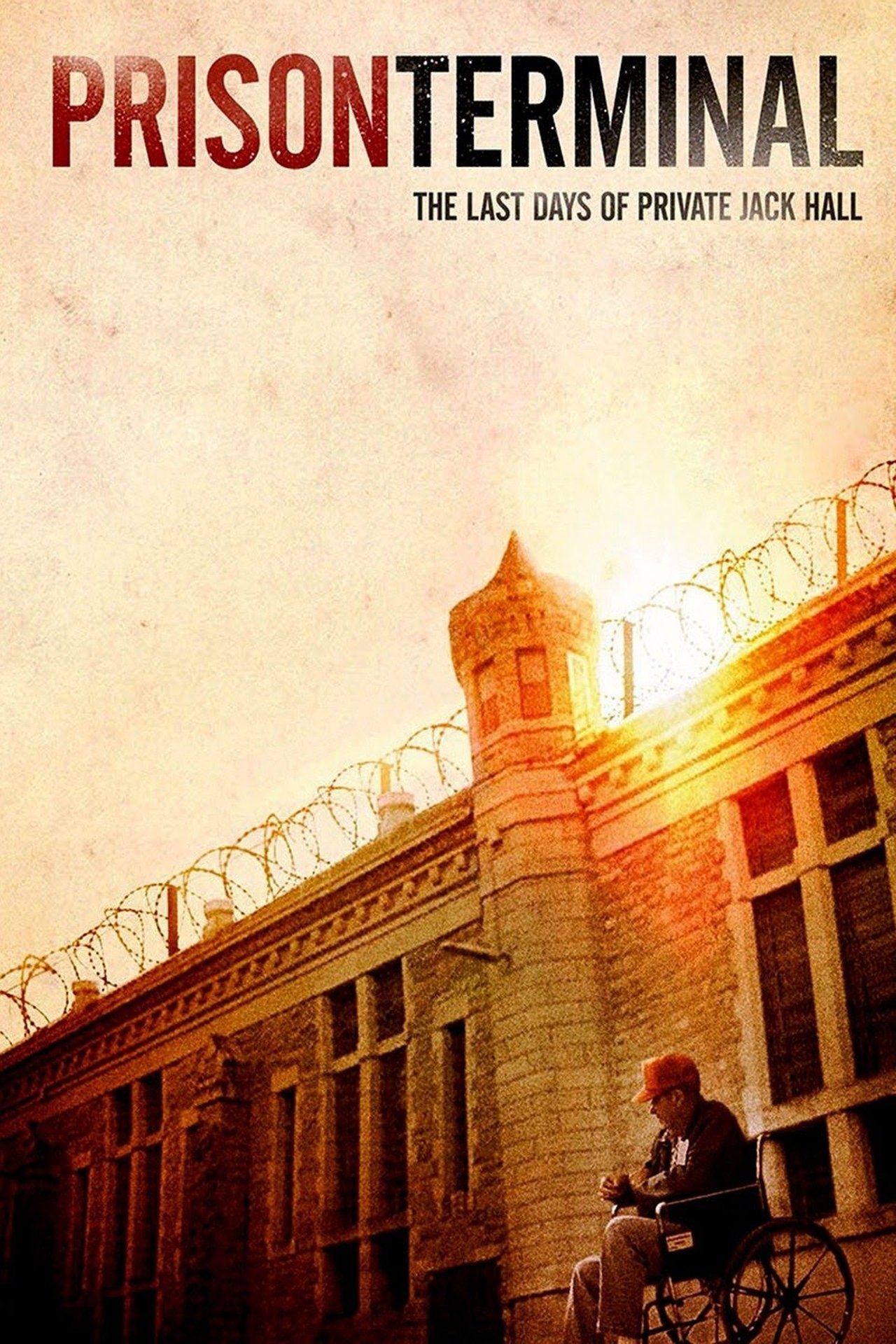 Prison Terminal: The Last Days of Private Jack Hall (2014)