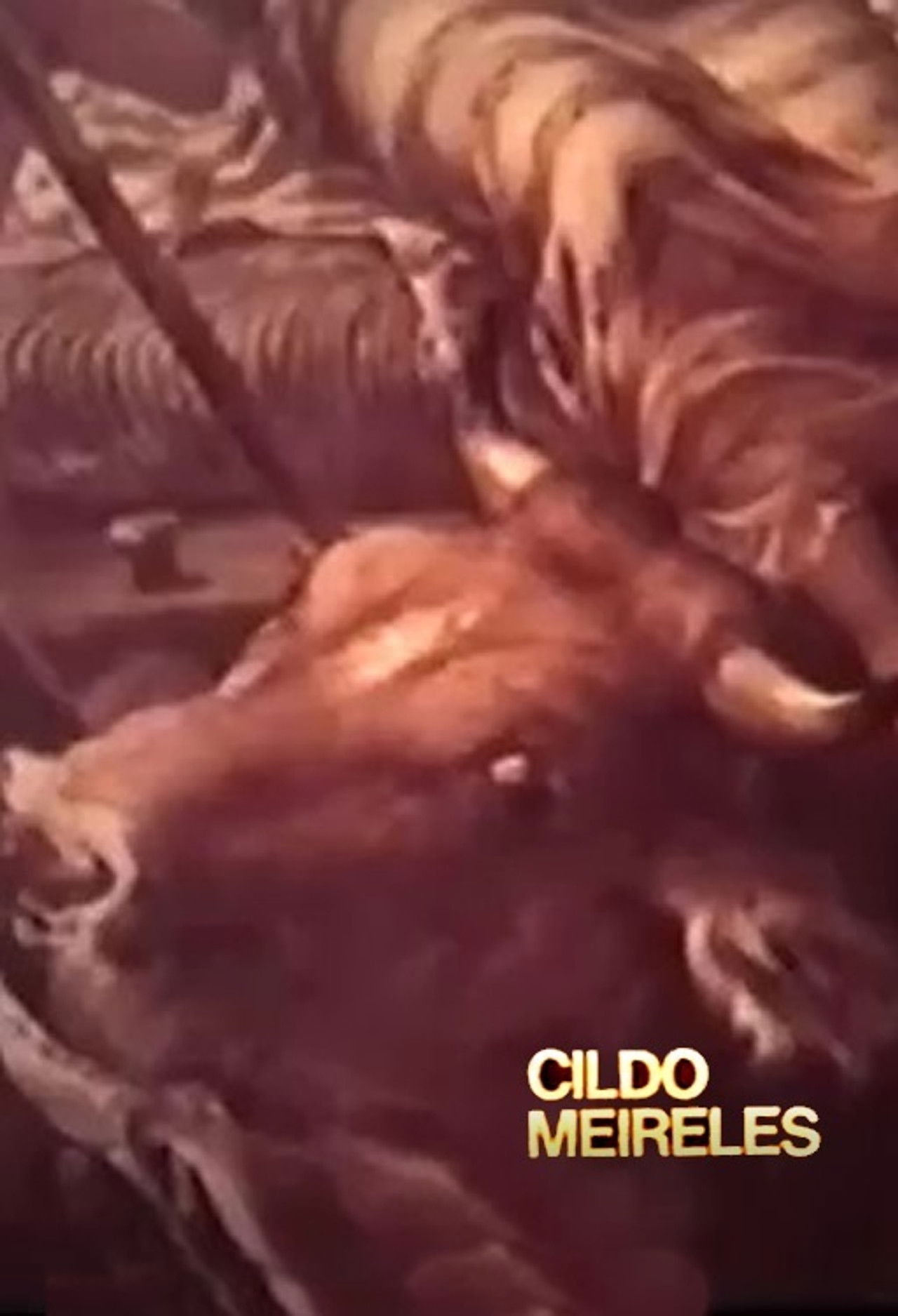 Cildo Meireles Backdrop