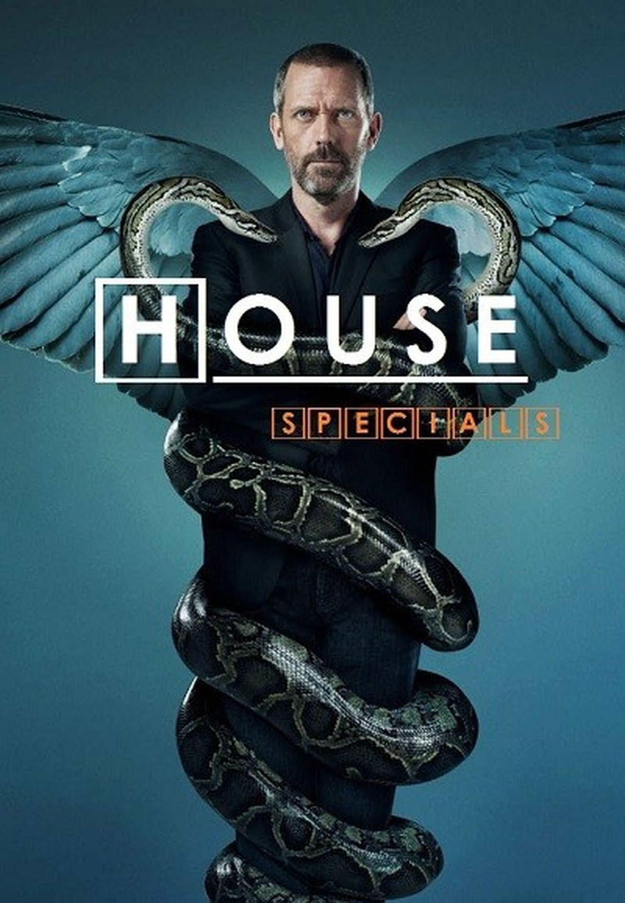 Speciální díly seriálu Dr. House