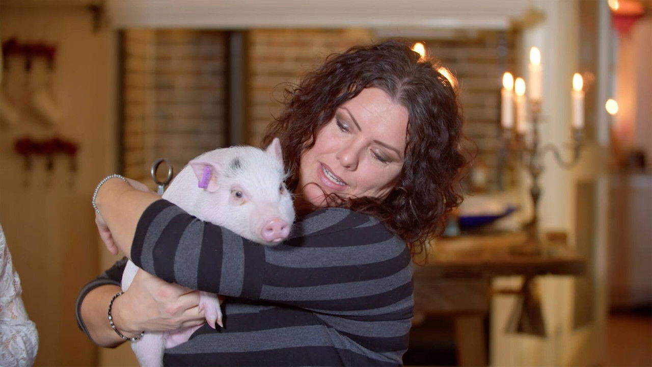 Pantbanken — Épisode 6