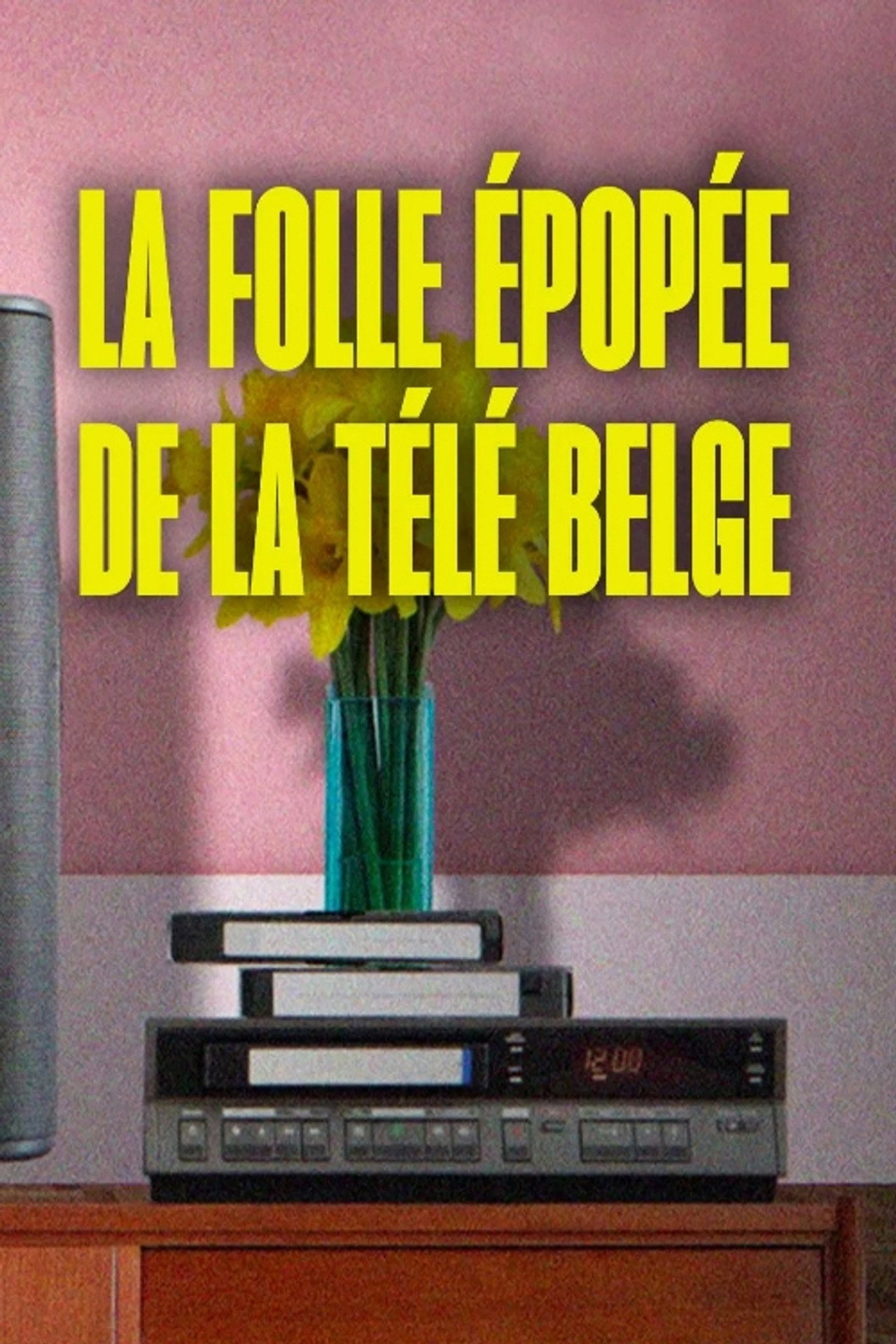 La folle épopée de la télé belge affisch