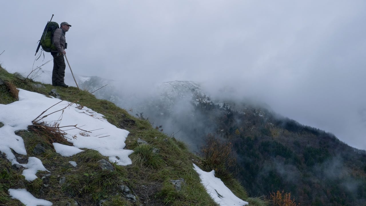 Wolf Walk Backdrop Image