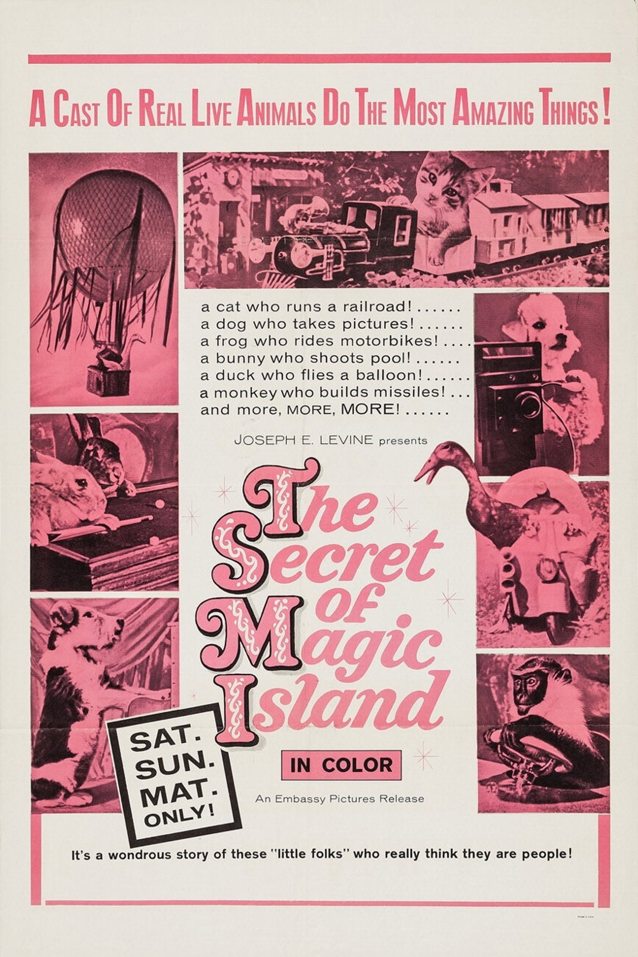 The Secret of Magic Island