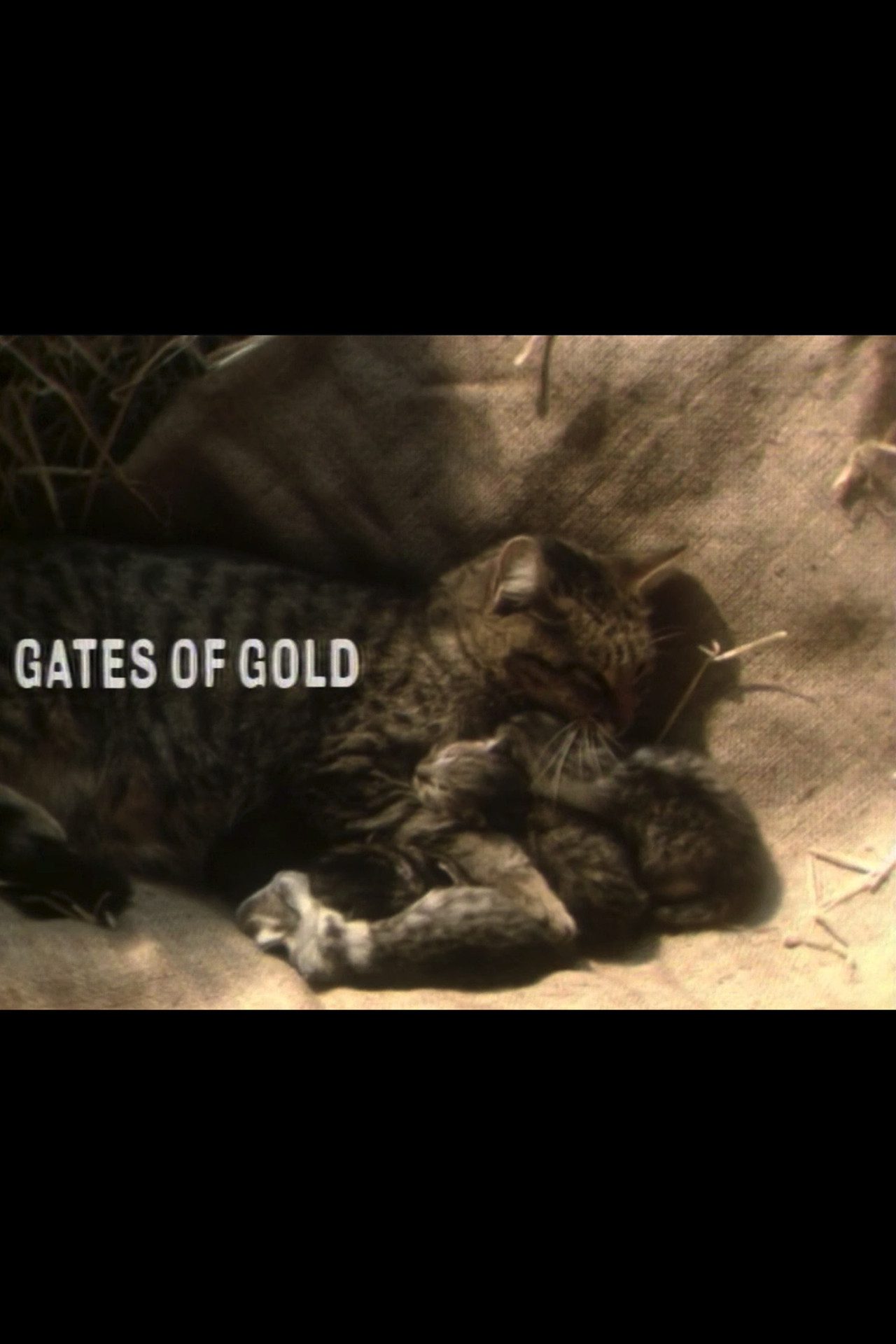 Gates of Gold Backdrop