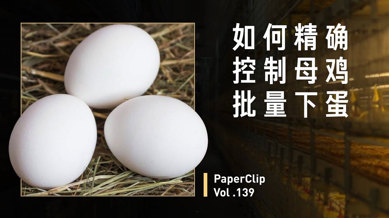 回形针PaperClip — Épisode 139
