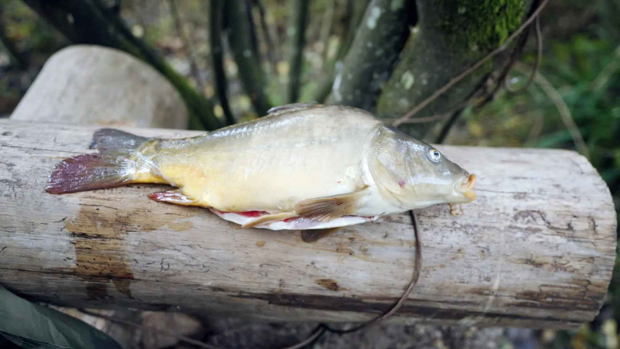 100 Tage Autark - Season 1 Episode 35 : Episode 35