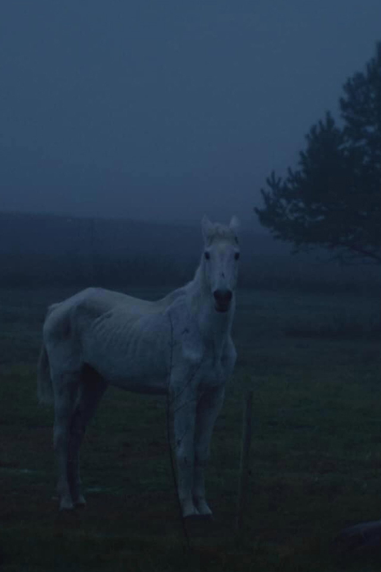 Slėnis filmaffisch