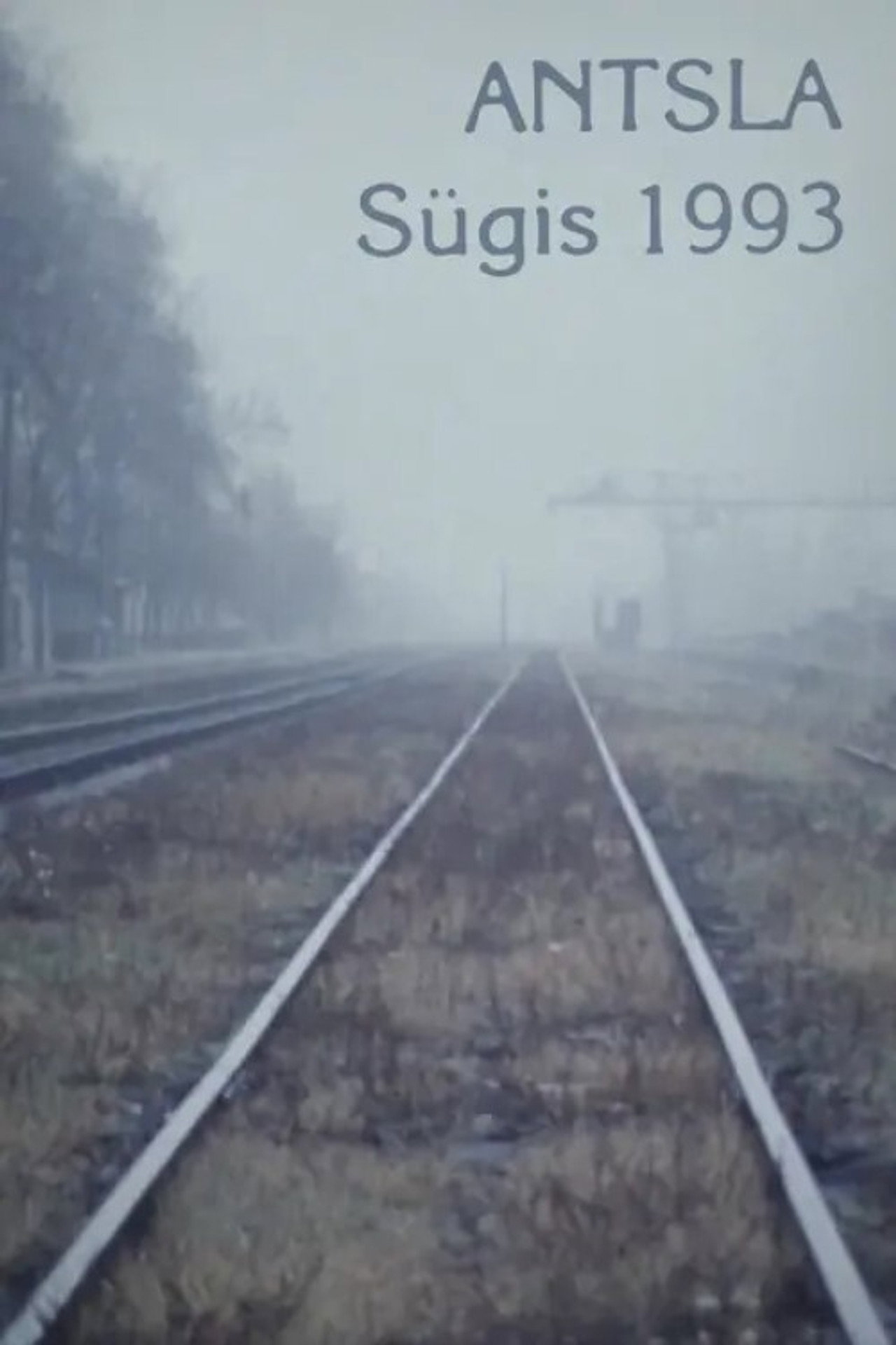 Antsla. Sügis 1993 filmaffisch
