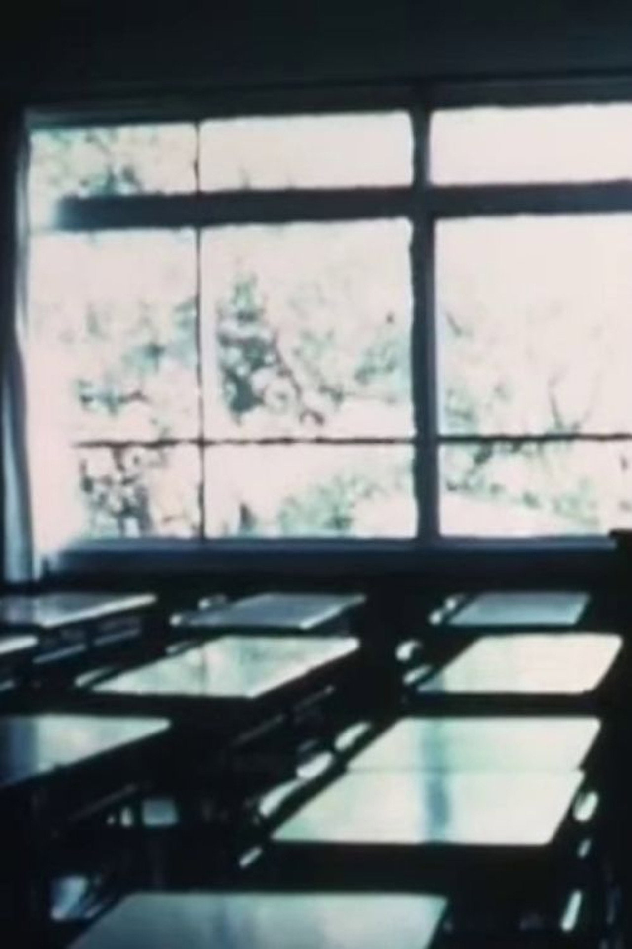 凍りついた翼で filmaffisch