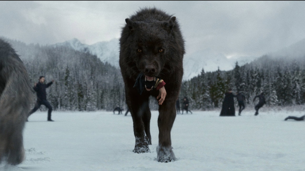 The Twilight Saga: Breaking Dawn - Part 2 background 94