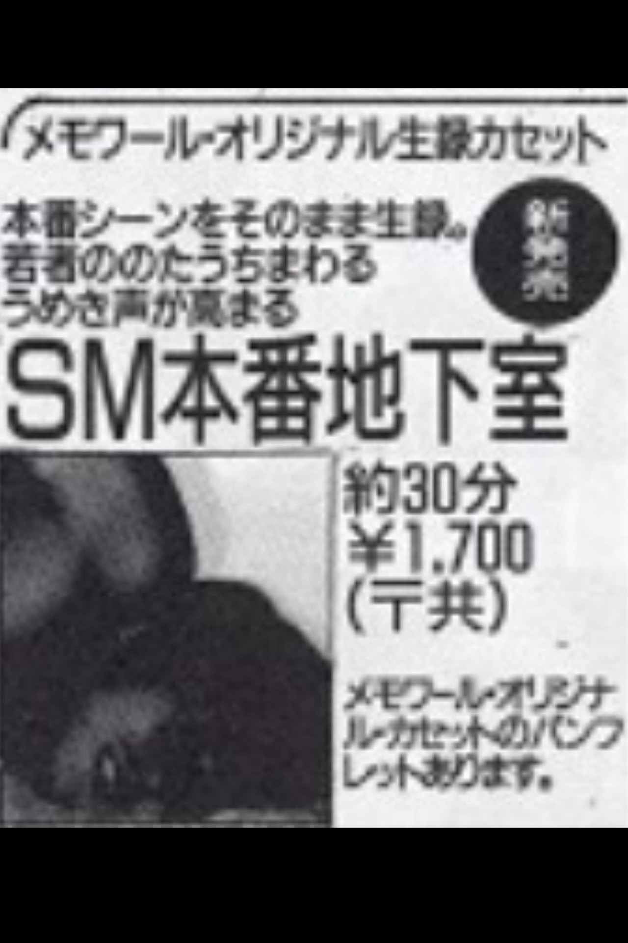 SM Basement Backdrop