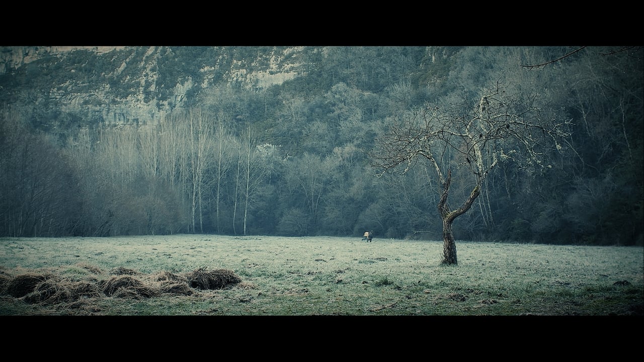 The Portrait backdrop