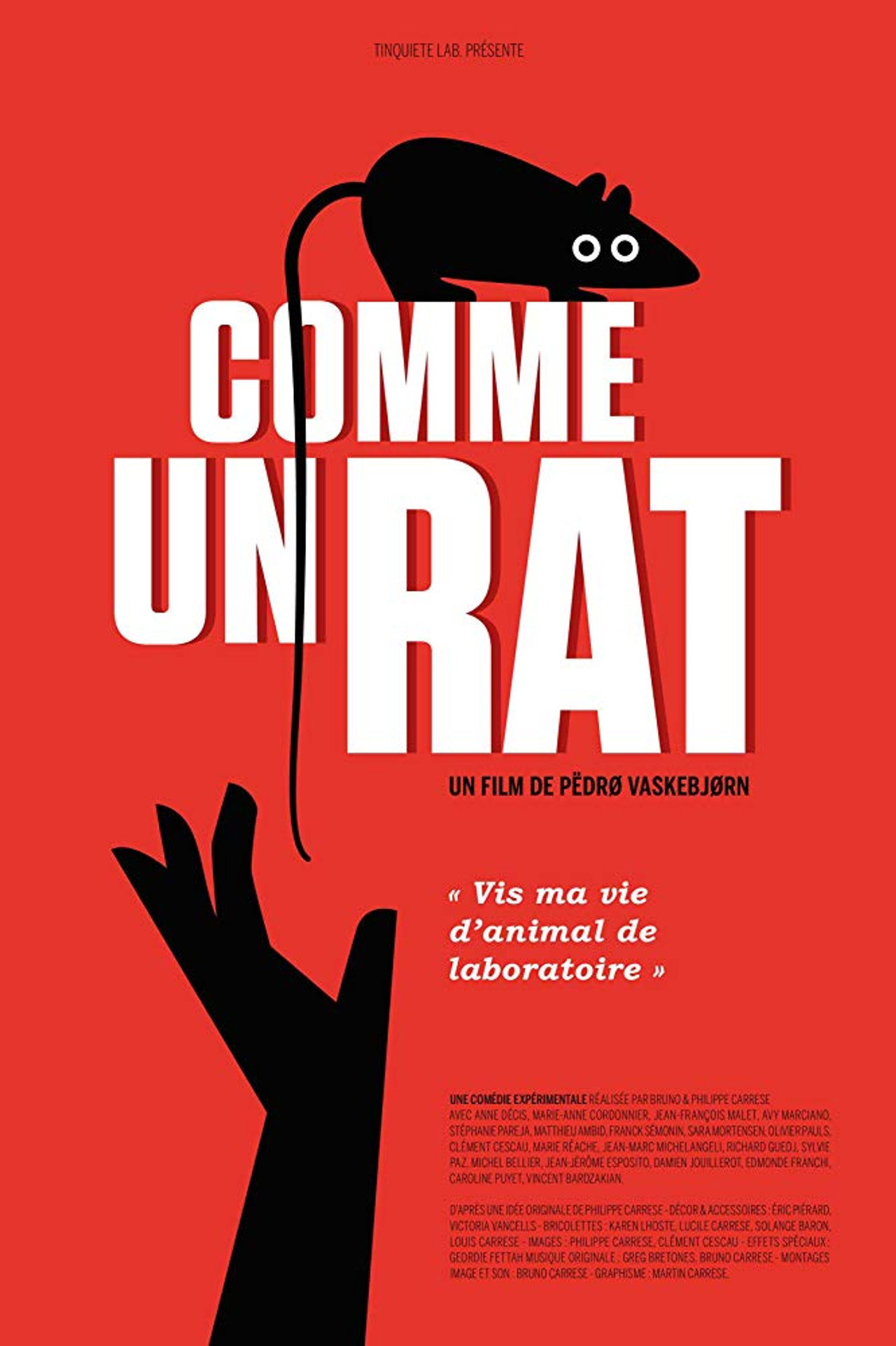 Comme un rat filmaffisch