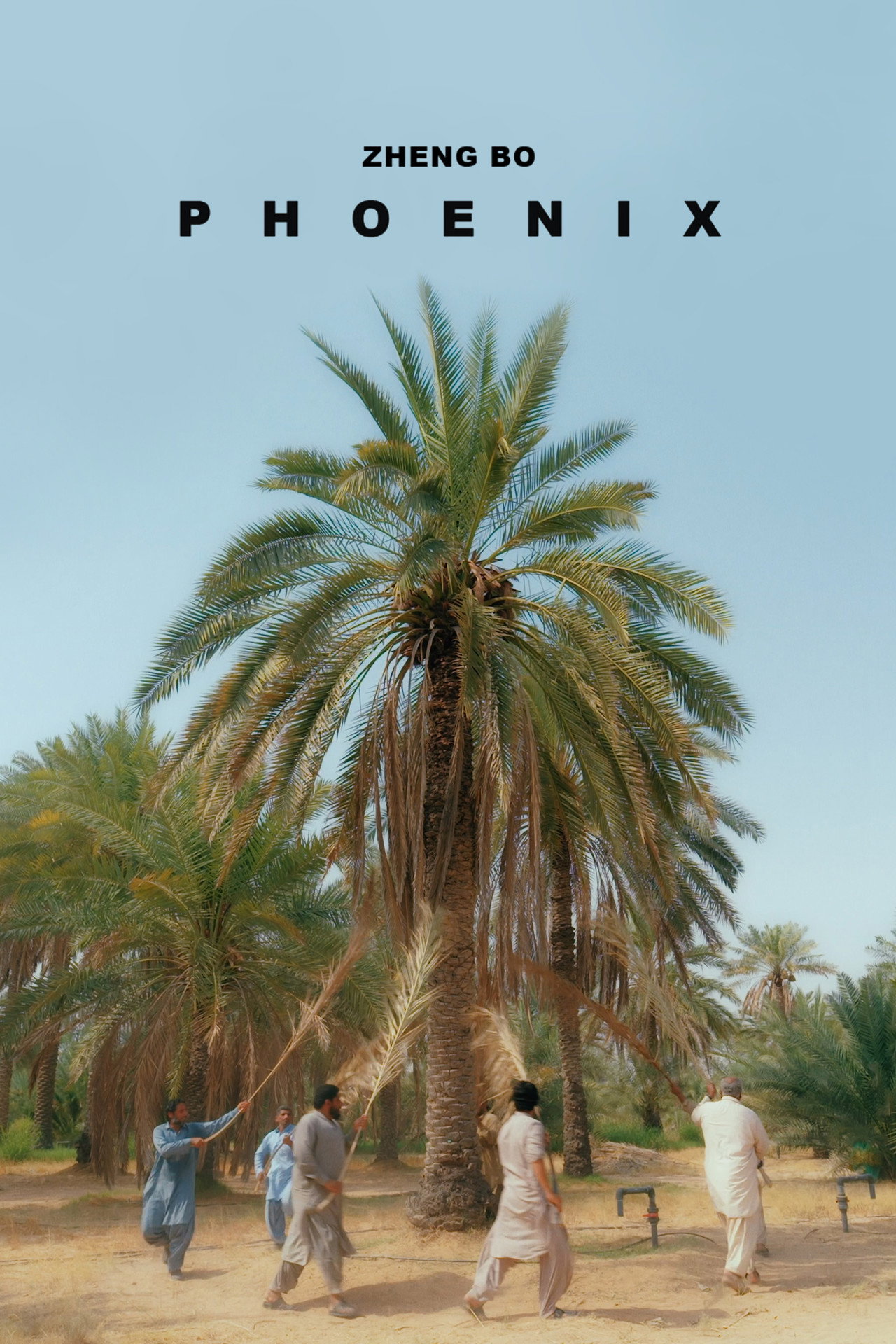 Phoenix filmaffisch