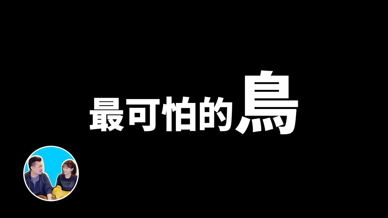 老高与小茉 — Épisode 186