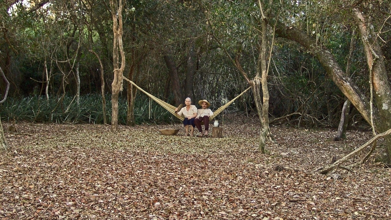 Paraguayan Hammock (2006)