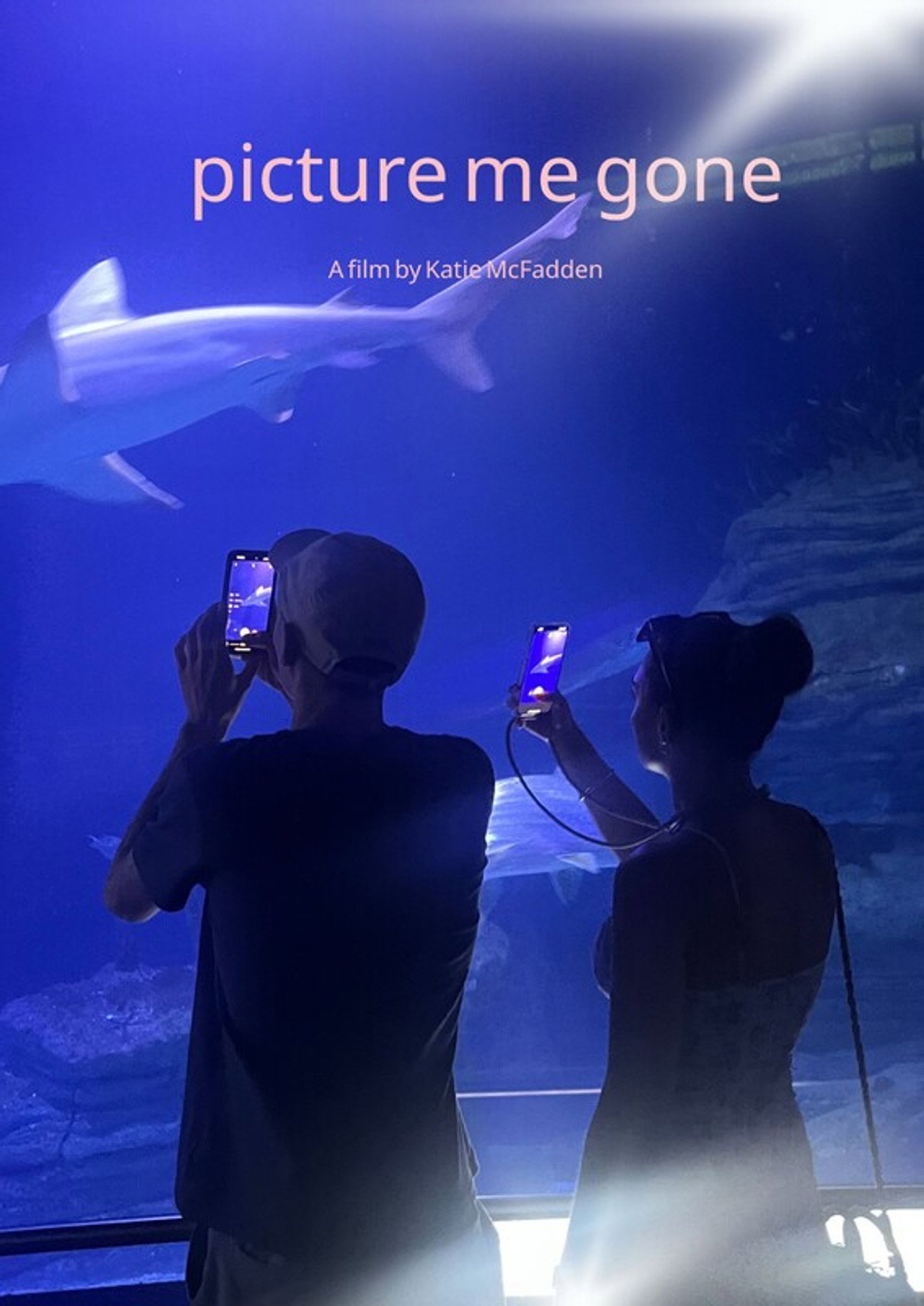 Picture Me Gone filmaffisch