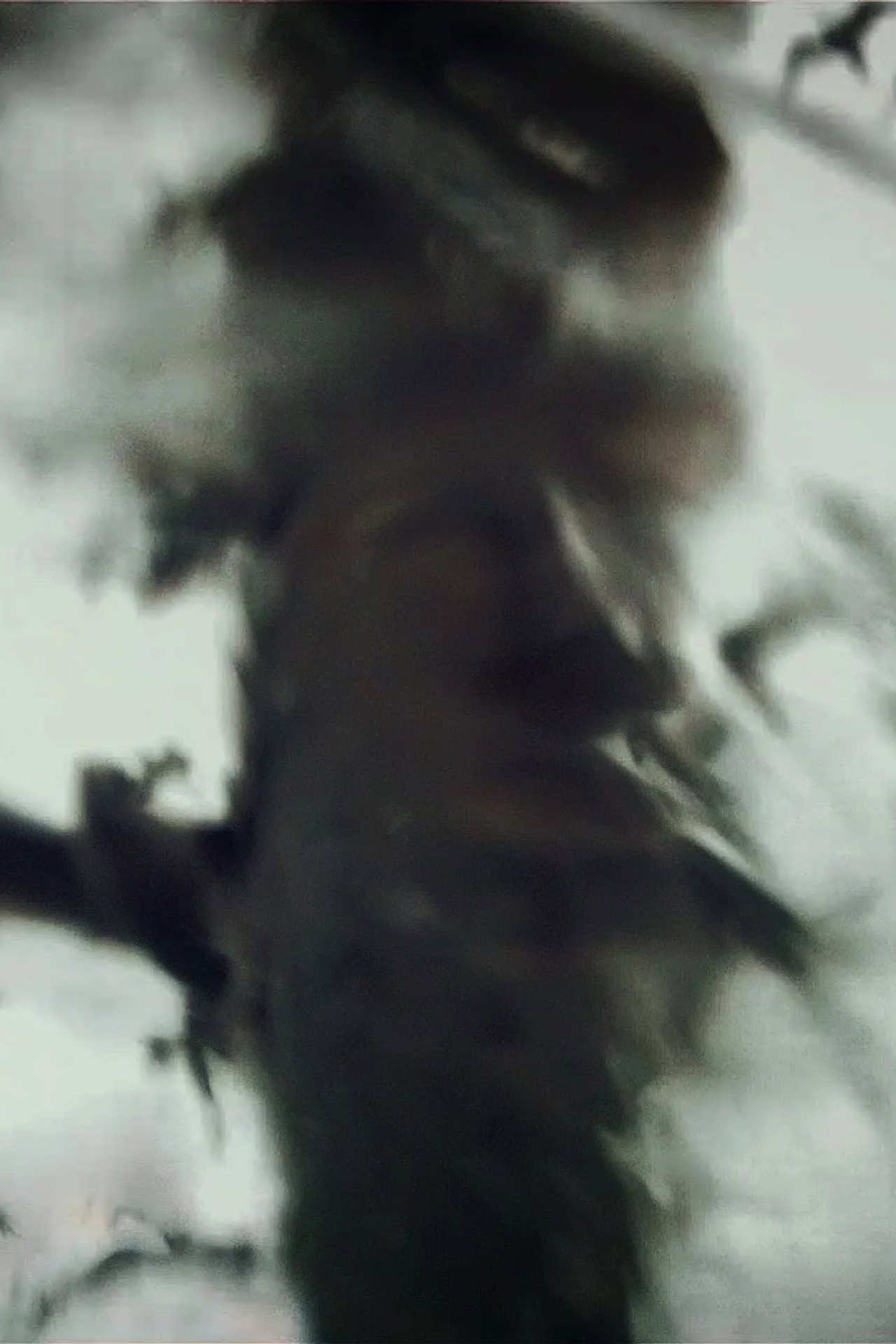 Spirit Stills filmaffisch