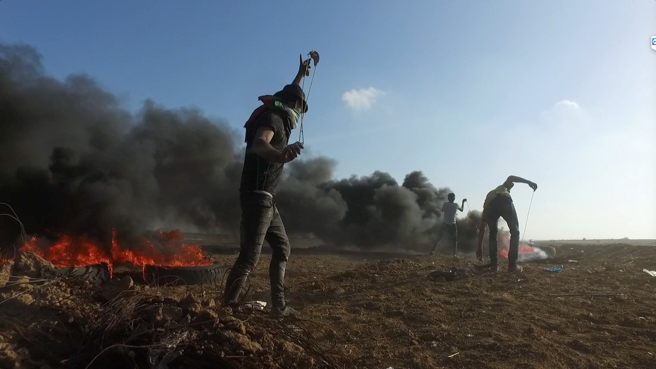 Gaza Fights for Freedom Backdrop Image