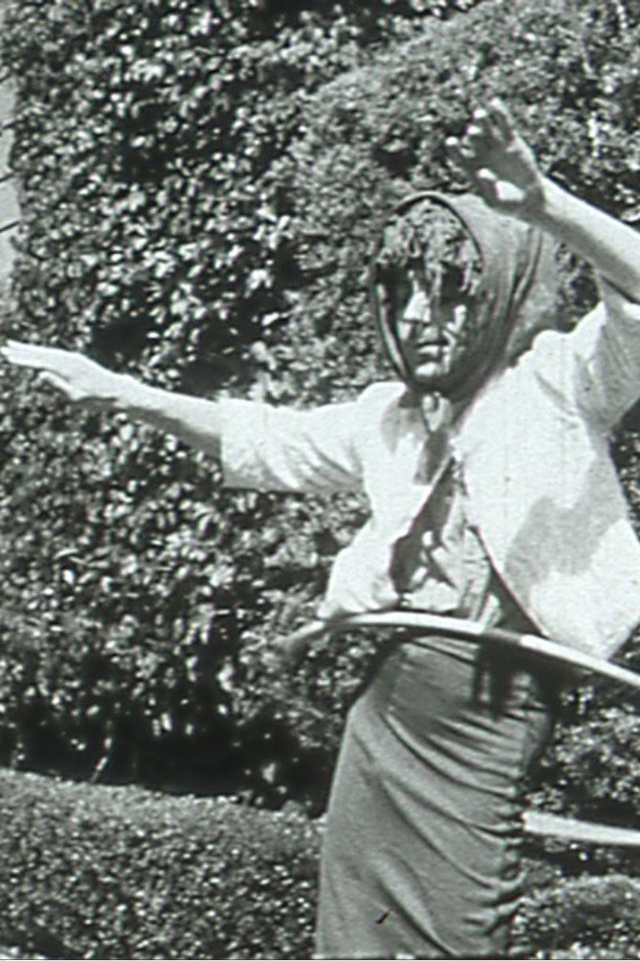 Lemon Hearts Backdrop