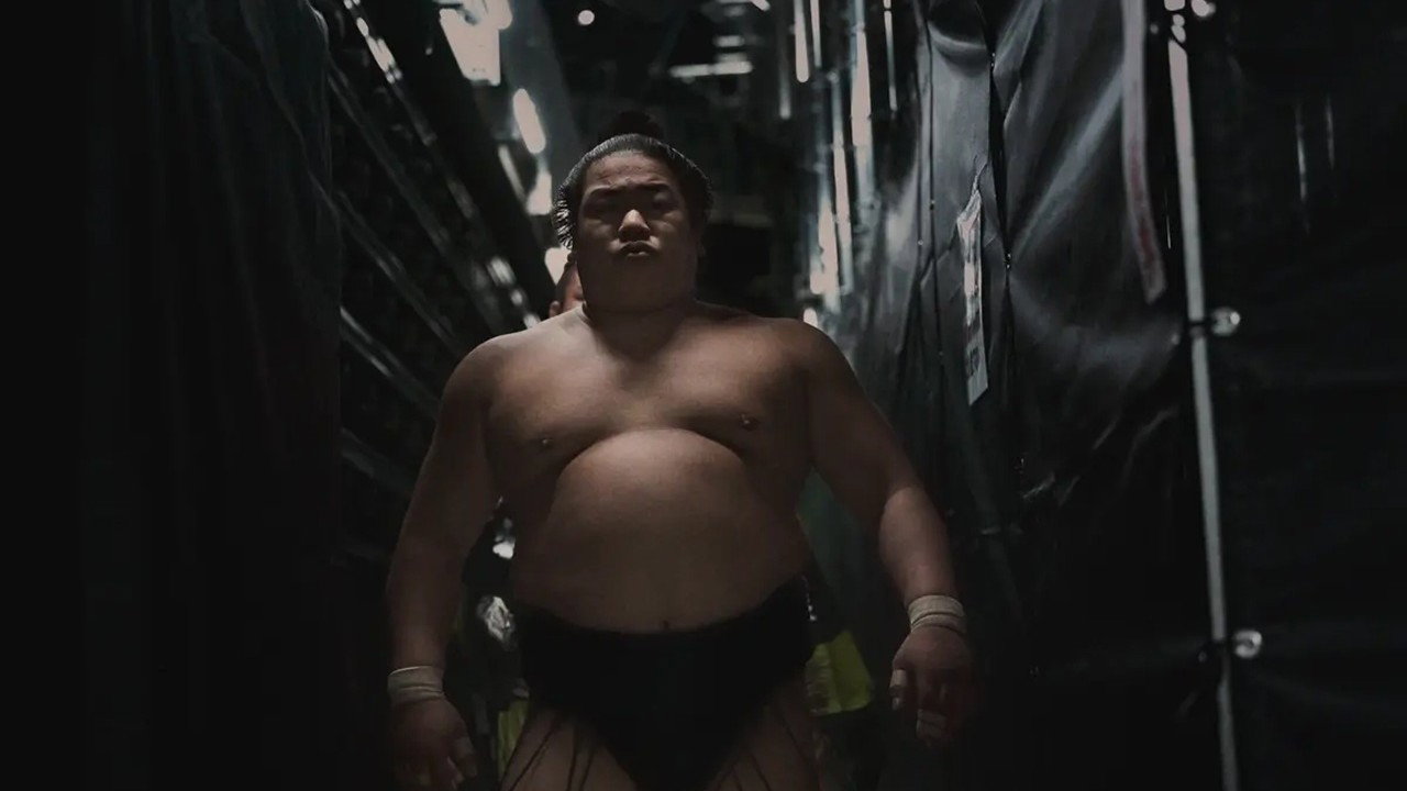 SUMO: Spirit Weighs Nothing