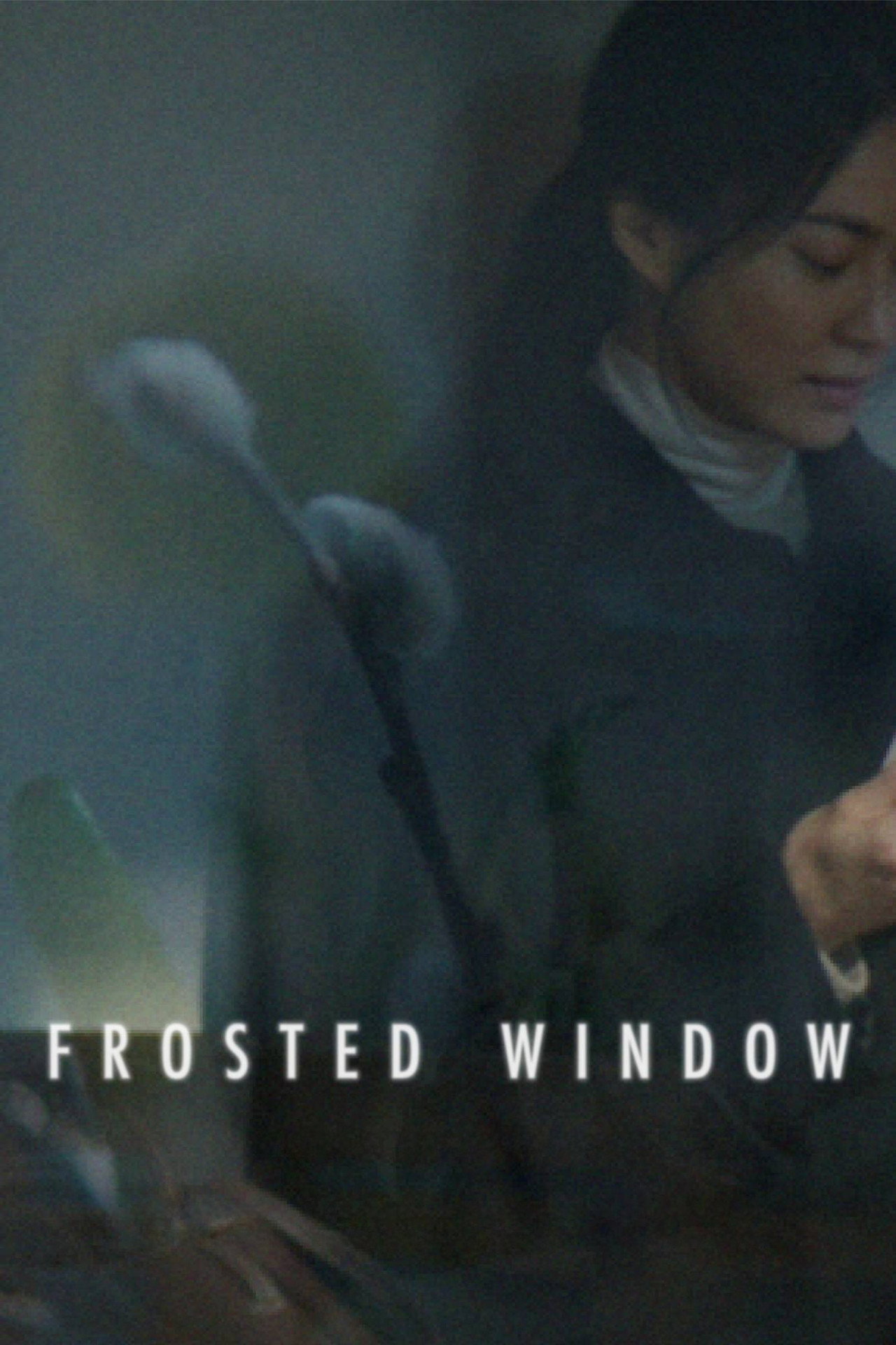 Frosted Window
