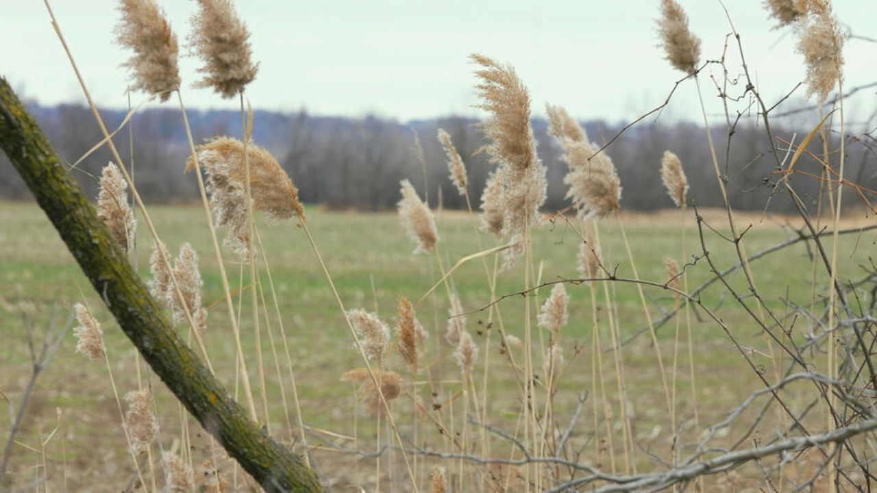 Court Cam Presents Under Oath — Épisode 1