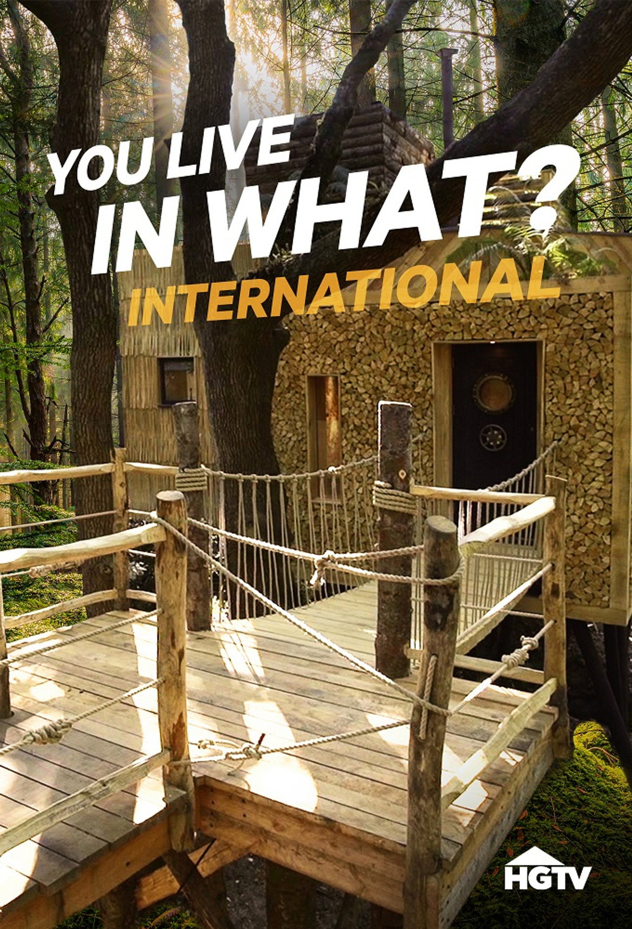 You Live in What? International affisch