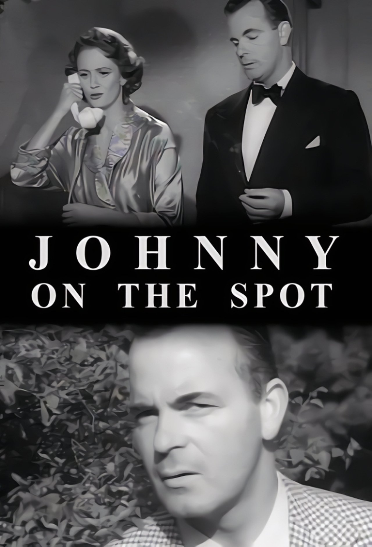 مشاهدة فيلم Johnny-on-the-Spot مترجم بدون اعلانات - بوستر