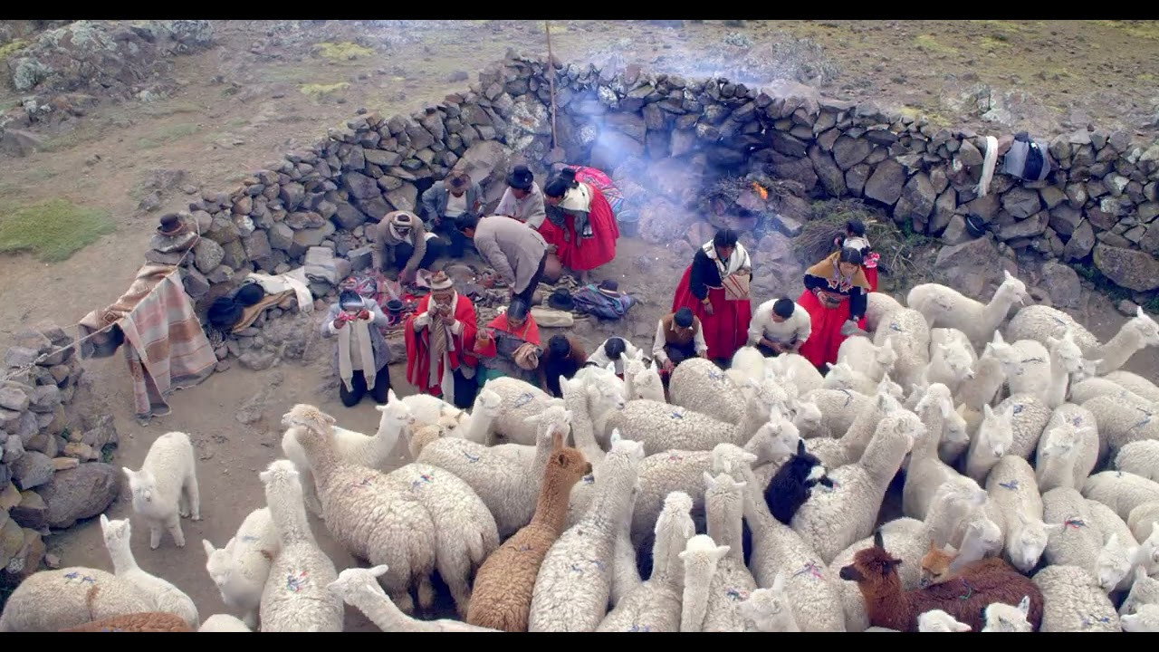 Immagine di copertina del trailer di Pakucha