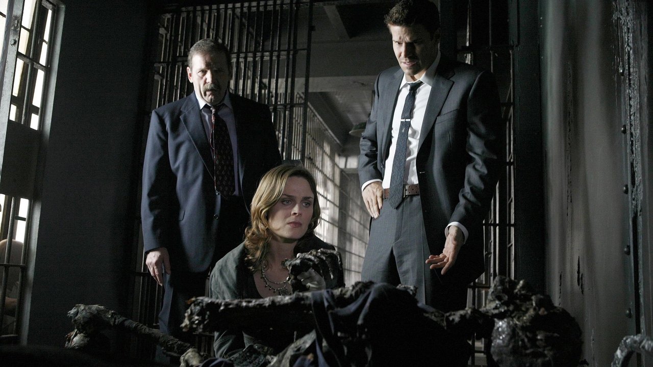 Bones - Season 2 Episode 12 : The Man in the Cell