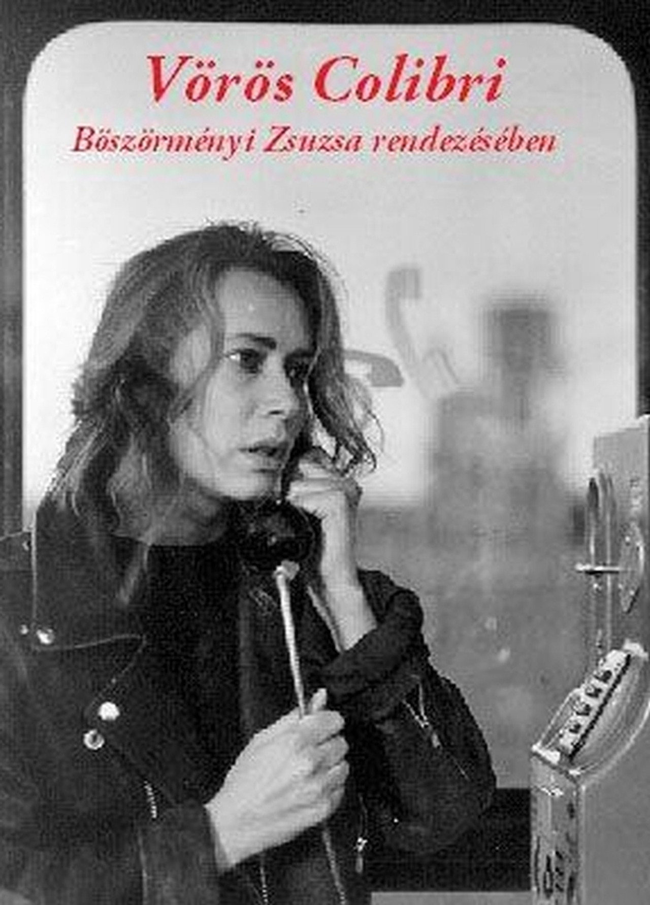 Red Colibri Backdrop