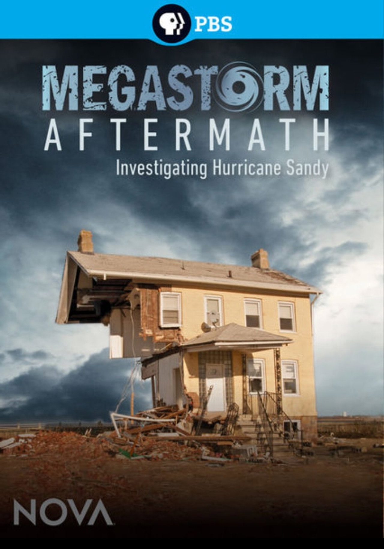 Megastorm Aftermath filmaffisch