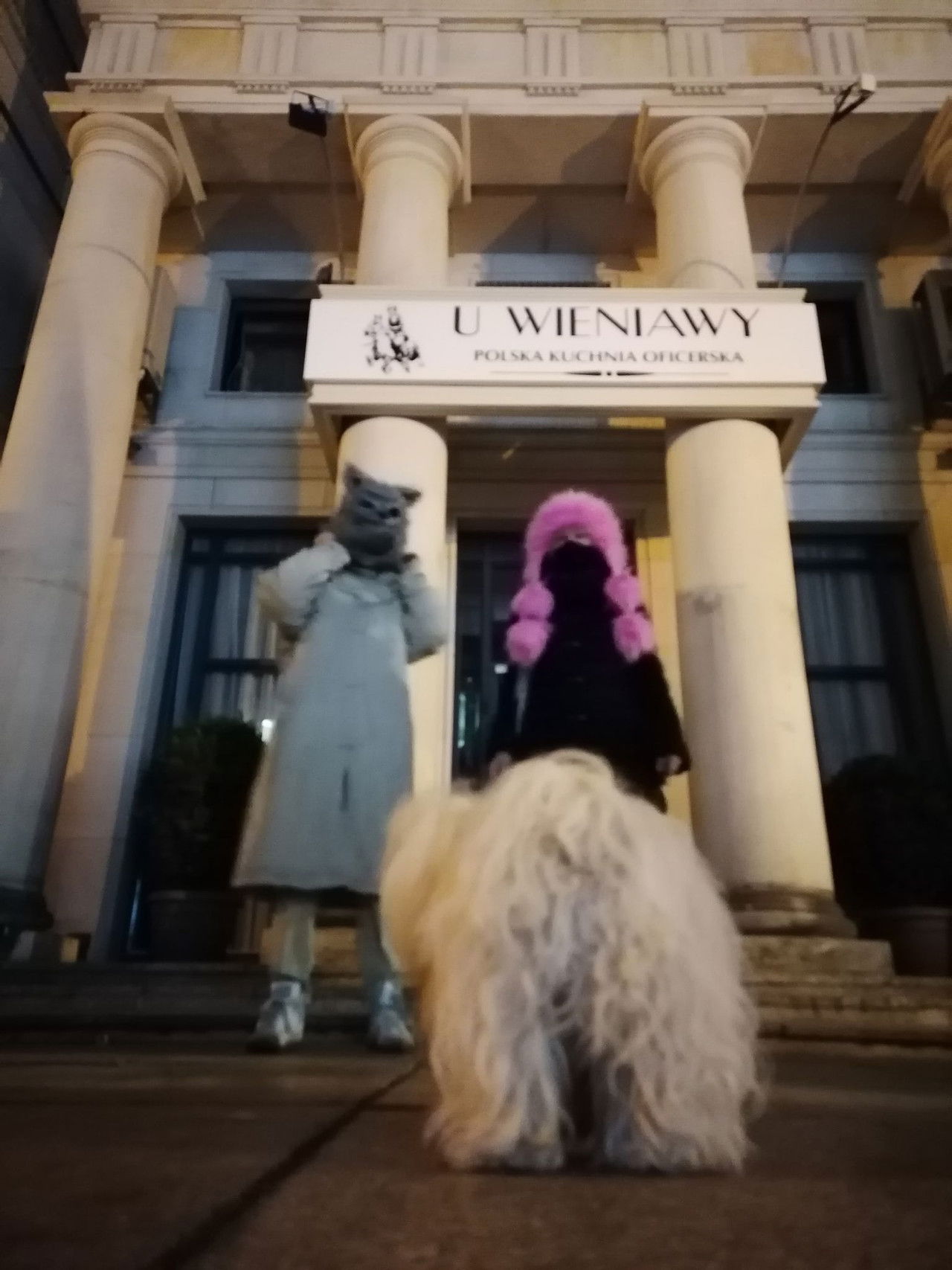 D'Vinci Testa Rosa Now Backdrop